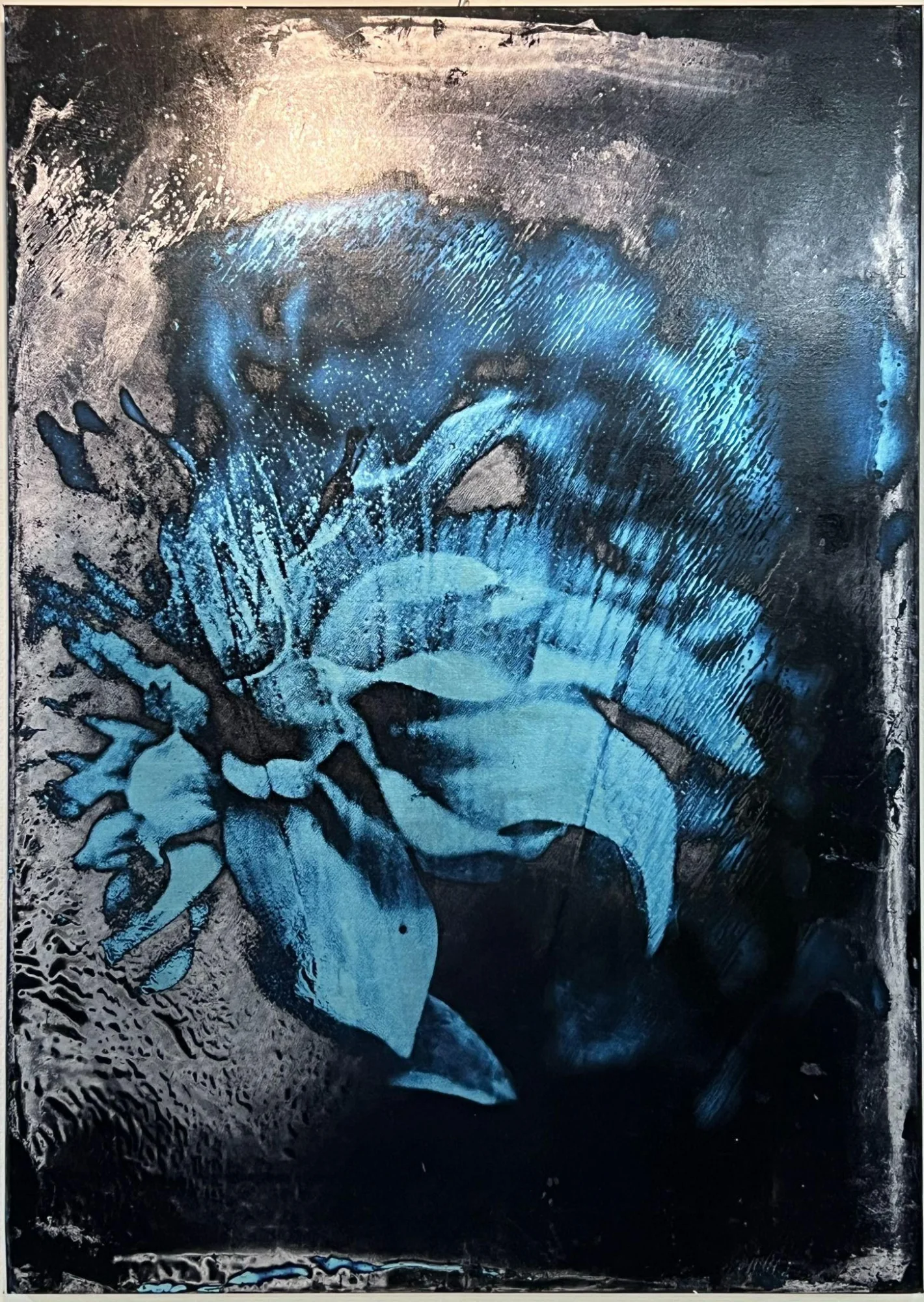 Dahlia 1