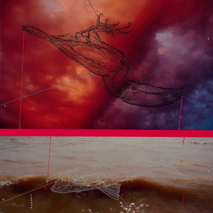 The Red List 19, Александр Захаров