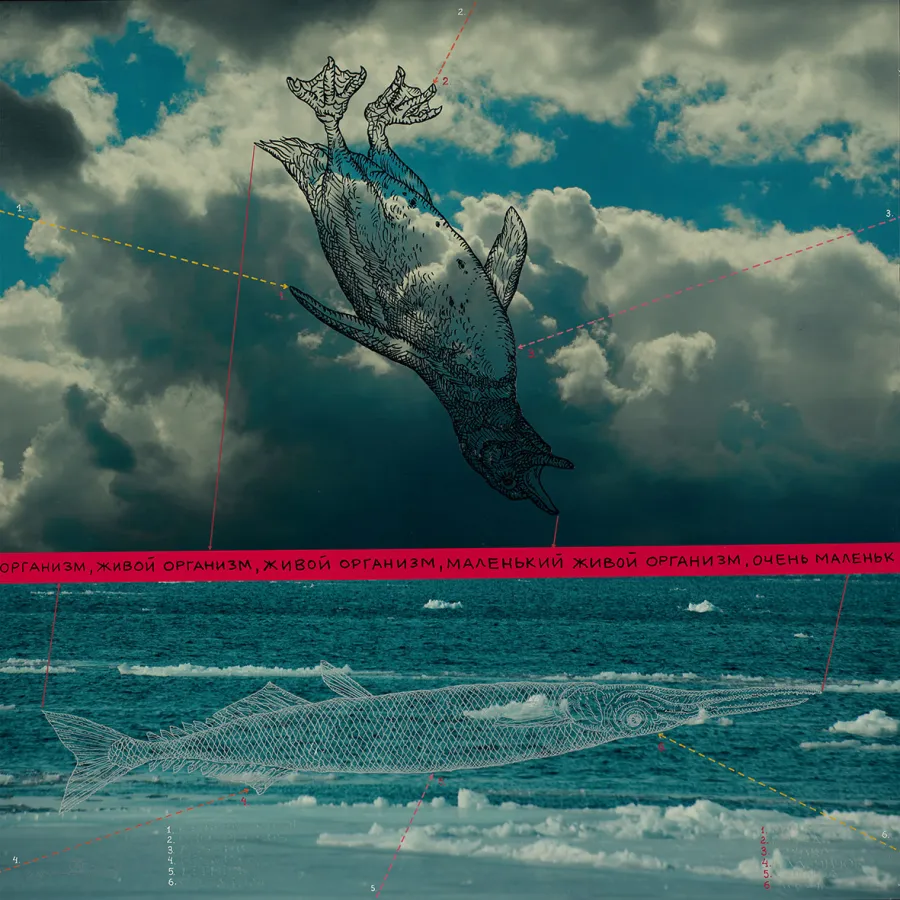 The Red List 18, Александр Захаров