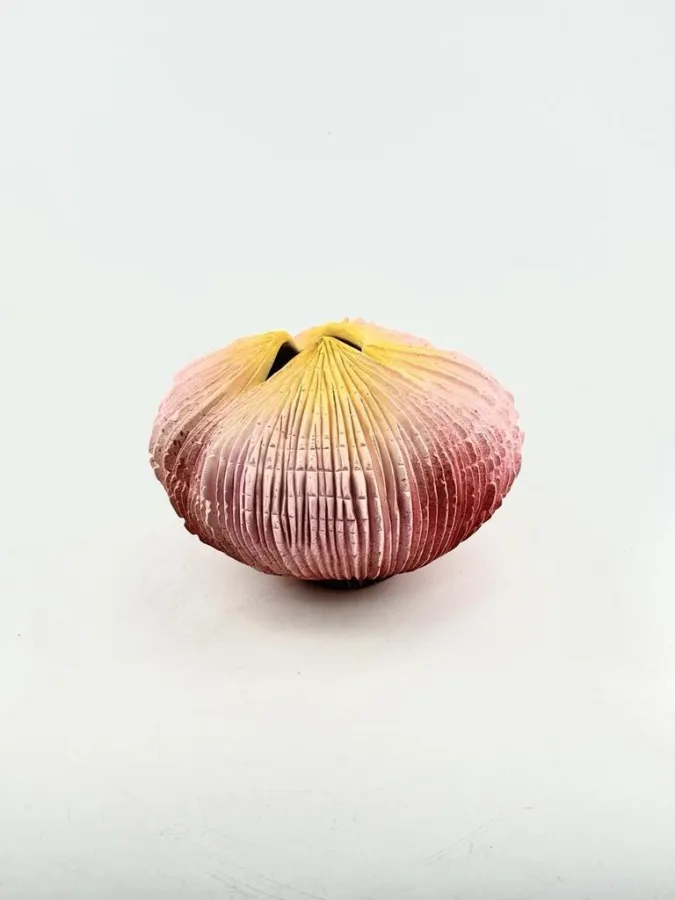 Цветы океана, Ceramicatelie